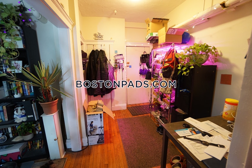 BOSTON - BRIGHTON- WASHINGTON ST./ ALLSTON ST. - 1 Bed, 1 Bath - Image 4