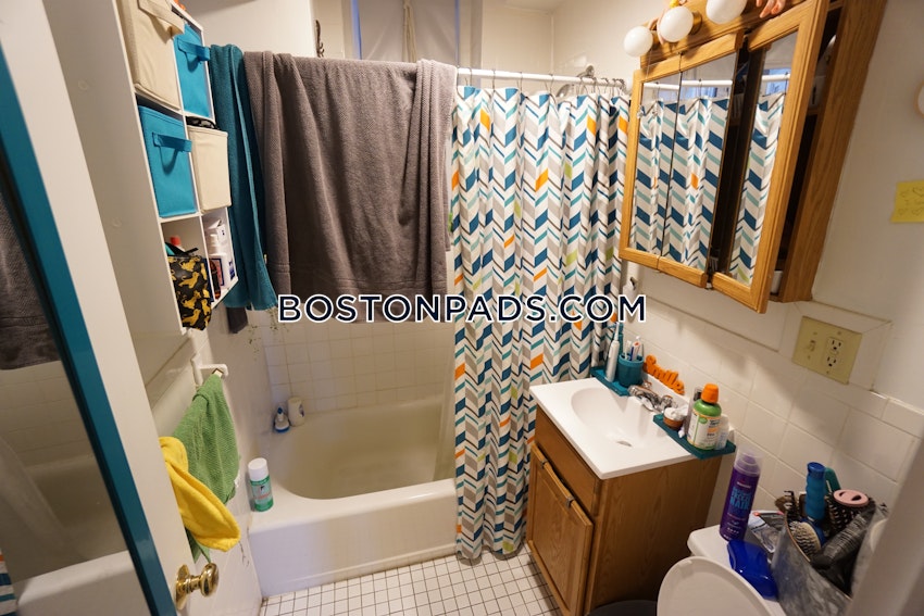 BOSTON - BRIGHTON- WASHINGTON ST./ ALLSTON ST. - 1 Bed, 1 Bath - Image 6