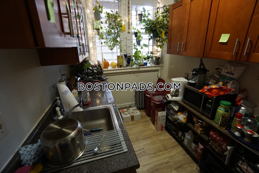 BOSTON - BRIGHTON- WASHINGTON ST./ ALLSTON ST. - 1 Bed, 1 Bath - Image 5