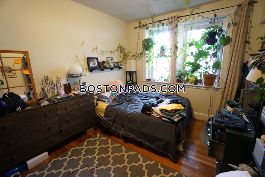 BOSTON - BRIGHTON- WASHINGTON ST./ ALLSTON ST. - 1 Bed, 1 Bath - Image 13