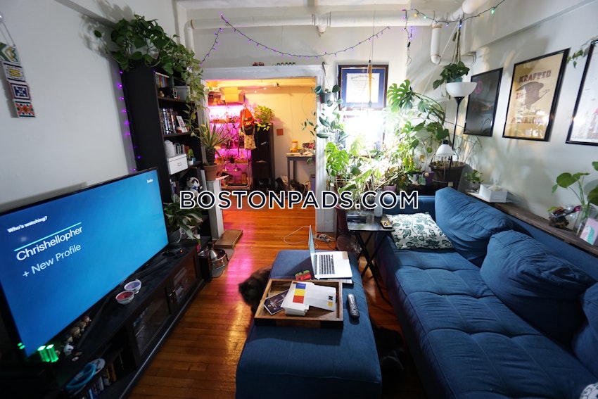 BOSTON - BRIGHTON- WASHINGTON ST./ ALLSTON ST. - 1 Bed, 1 Bath - Image 10