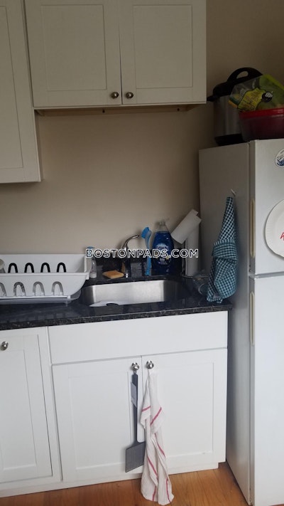 Brighton Apartment for rent 1 Bedroom 1 Bath Boston - $2,800 No Fee