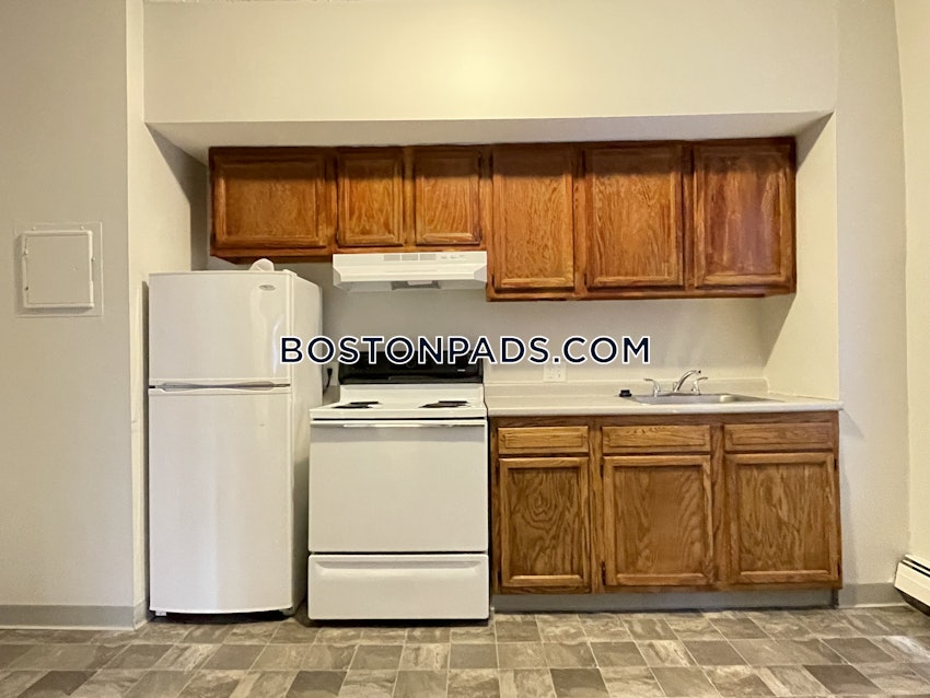 BOSTON - JAMAICA PLAIN - CENTER - 1 Bed, 1 Bath - Image 3