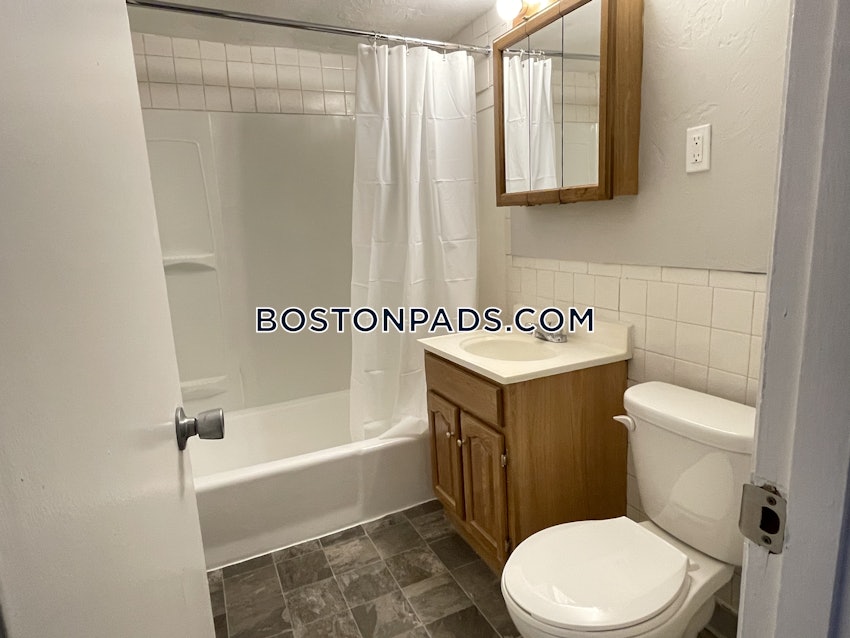 BOSTON - JAMAICA PLAIN - CENTER - 1 Bed, 1 Bath - Image 7