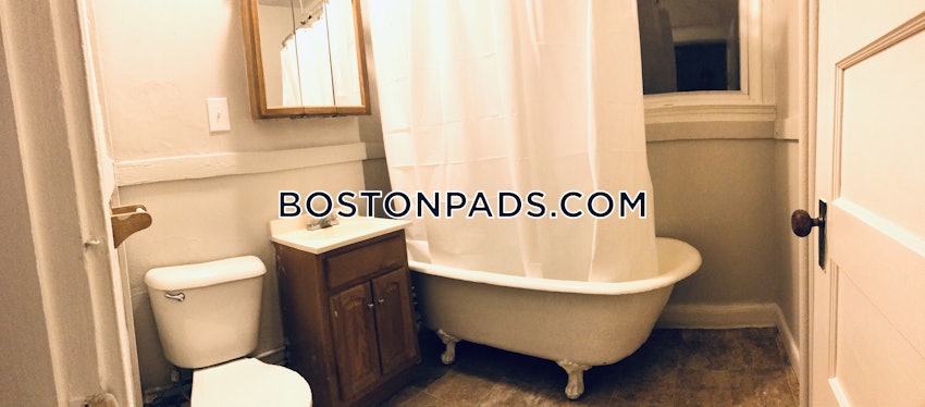 BOSTON - JAMAICA PLAIN - STONY BROOK - 3 Beds, 1 Bath - Image 9