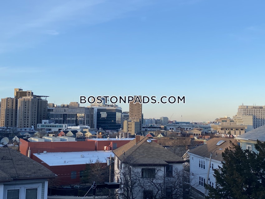 BOSTON - MISSION HILL - 4 Beds, 2 Baths - Image 45