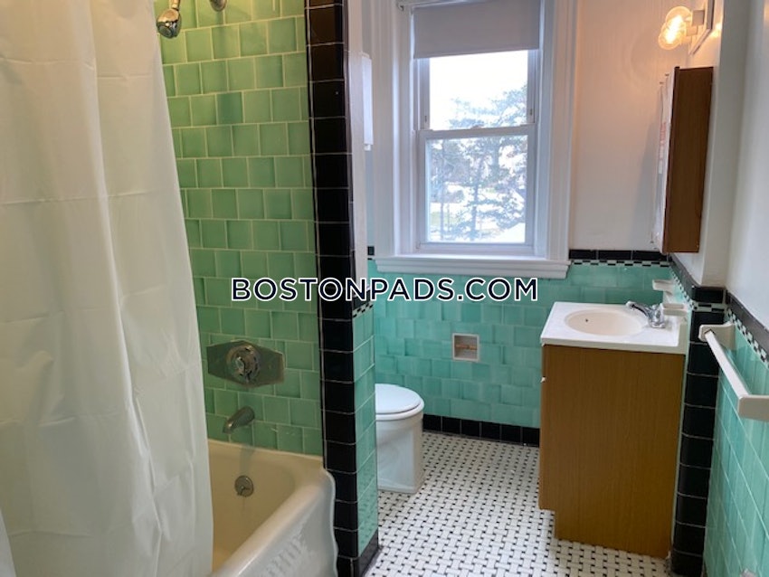 BOSTON - BRIGHTON - BOSTON COLLEGE - 1 Bed, 1 Bath - Image 24