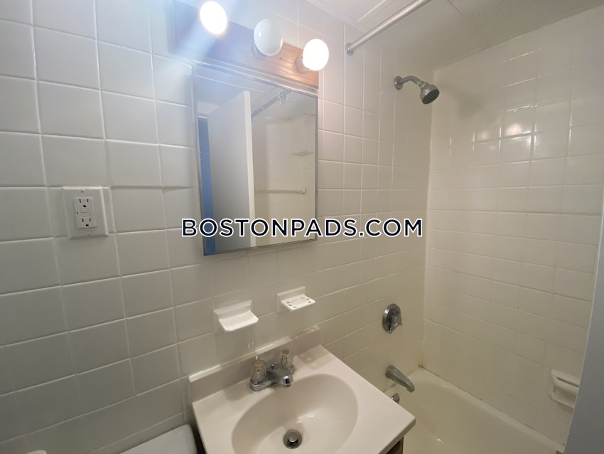 BOSTON - JAMAICA PLAIN - STONY BROOK - 1 Bed, 1 Bath - Image 1