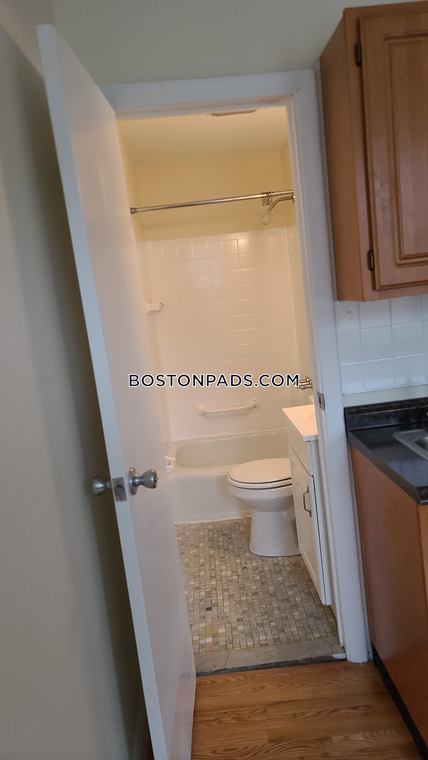 BOSTON - JAMAICA PLAIN - JAMAICA POND/PONDSIDE - Studio , 1 Bath - Image 28