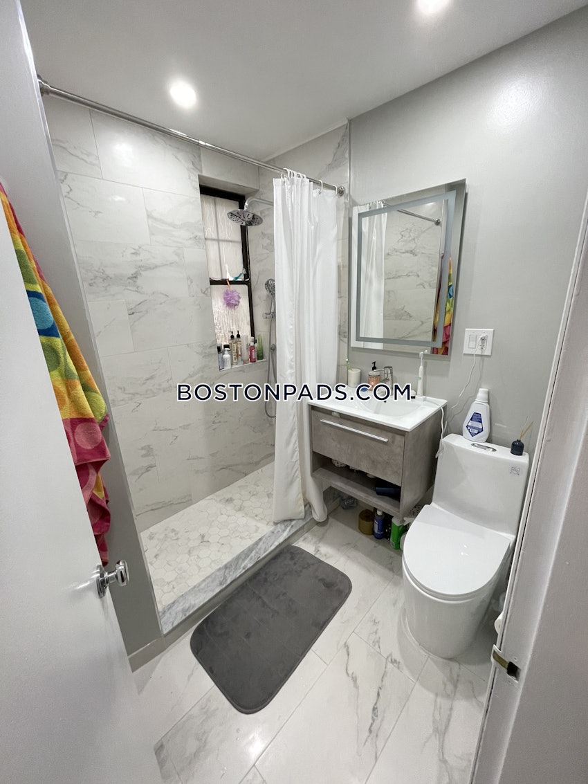 BOSTON - BRIGHTON - CLEVELAND CIRCLE - 3 Beds, 1 Bath - Image 16