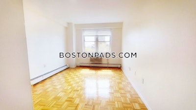 Brookline Apartment for rent 1 Bedroom 1 Bath  Boston University - $2,900 No Fee