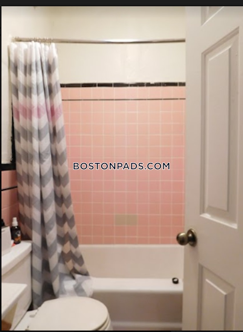 BOSTON - ALLSTON - 2 Beds, 1 Bath - Image 7