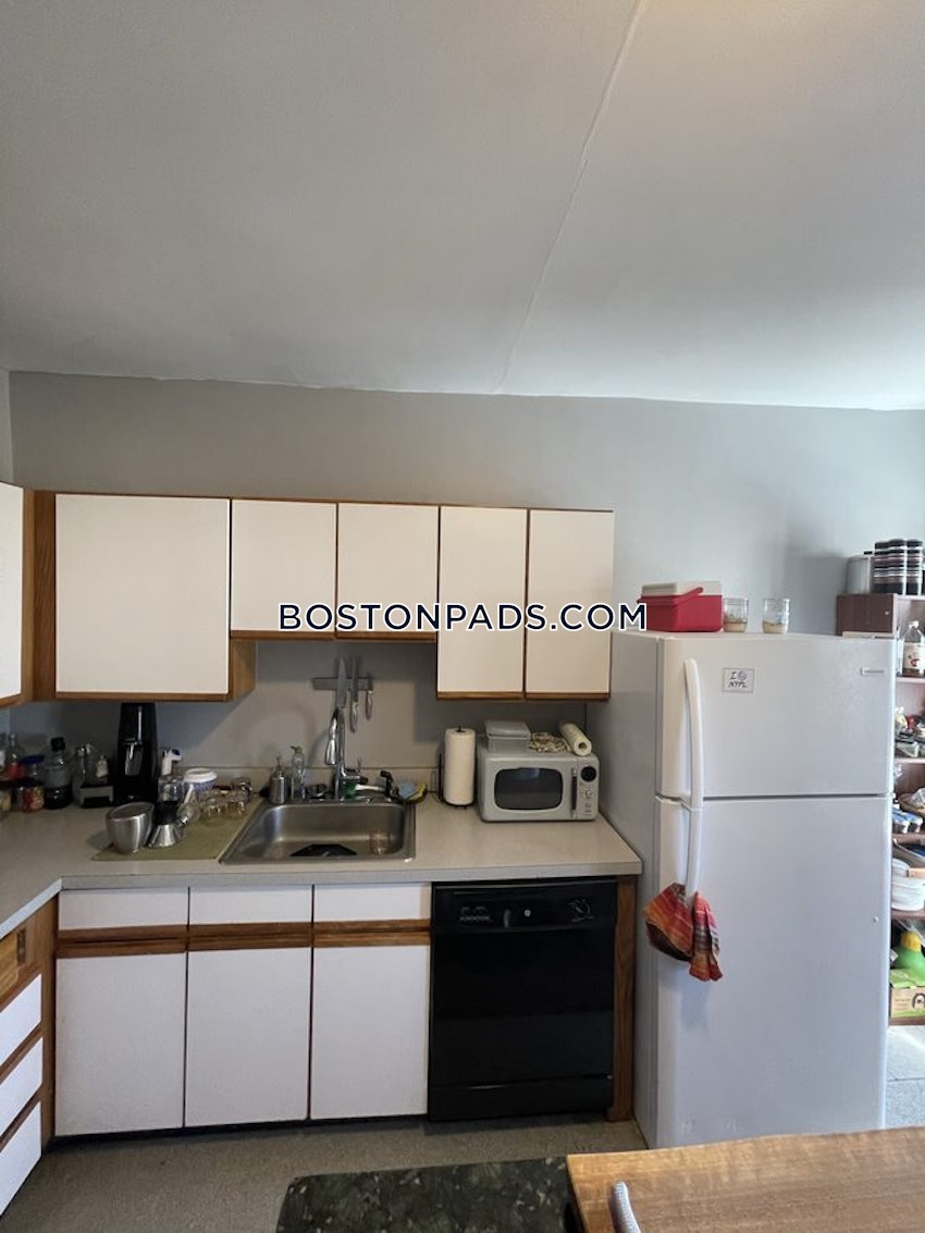 BOSTON - JAMAICA PLAIN - STONY BROOK - 3 Beds, 1 Bath - Image 4