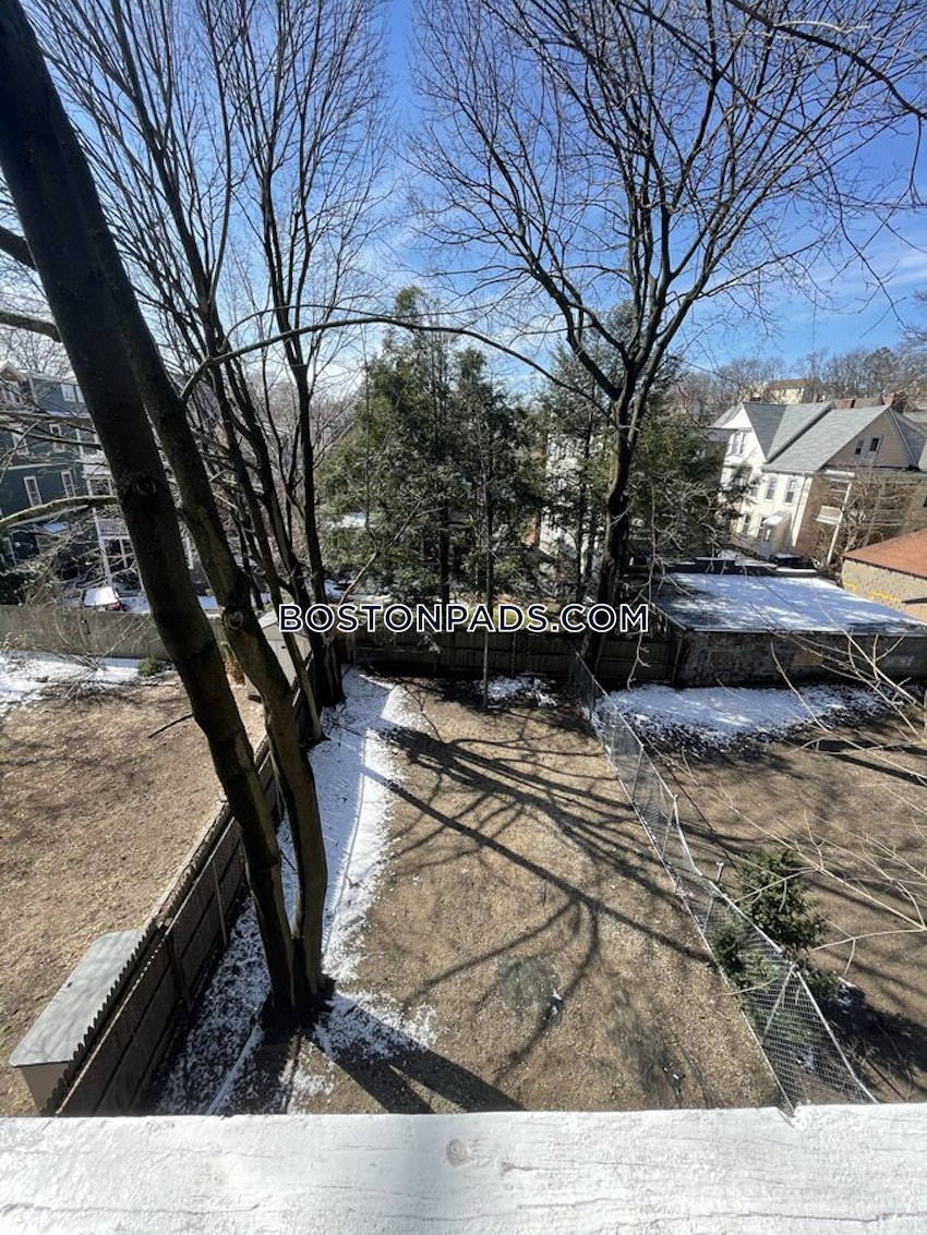 BOSTON - JAMAICA PLAIN - STONY BROOK - 3 Beds, 1 Bath - Image 12