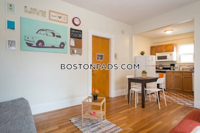 Allston Apartment for rent Studio 1 Bath Boston - $2,600 No Fee