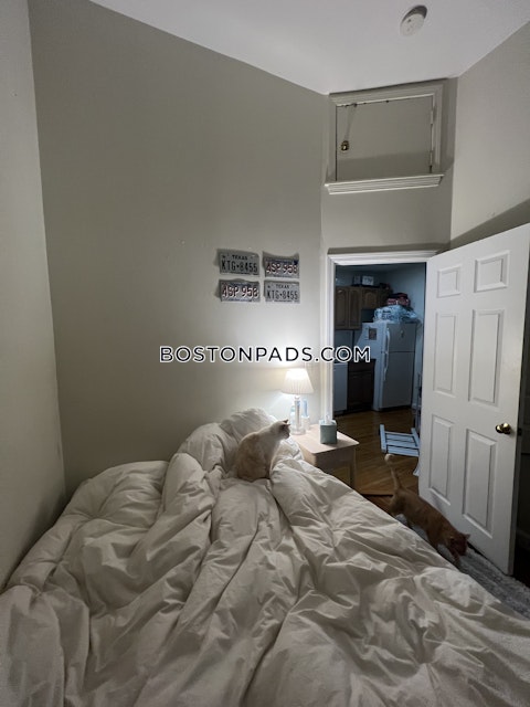 Shawmut Ave. Boston photo 26