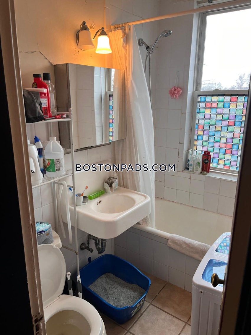 BOSTON - ALLSTON - Studio , 1 Bath - Image 12