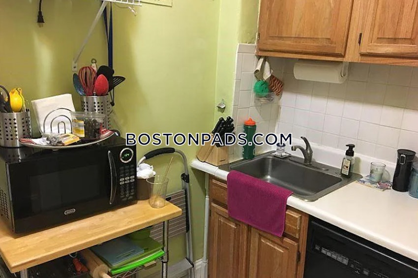 BOSTON - BRIGHTON - CLEVELAND CIRCLE - 1 Bed, 1 Bath - Image 7