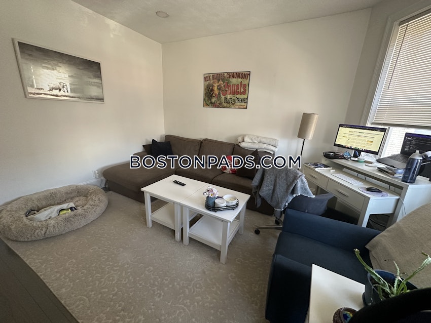 BOSTON - FENWAY/KENMORE - 1 Bed, 1 Bath - Image 4