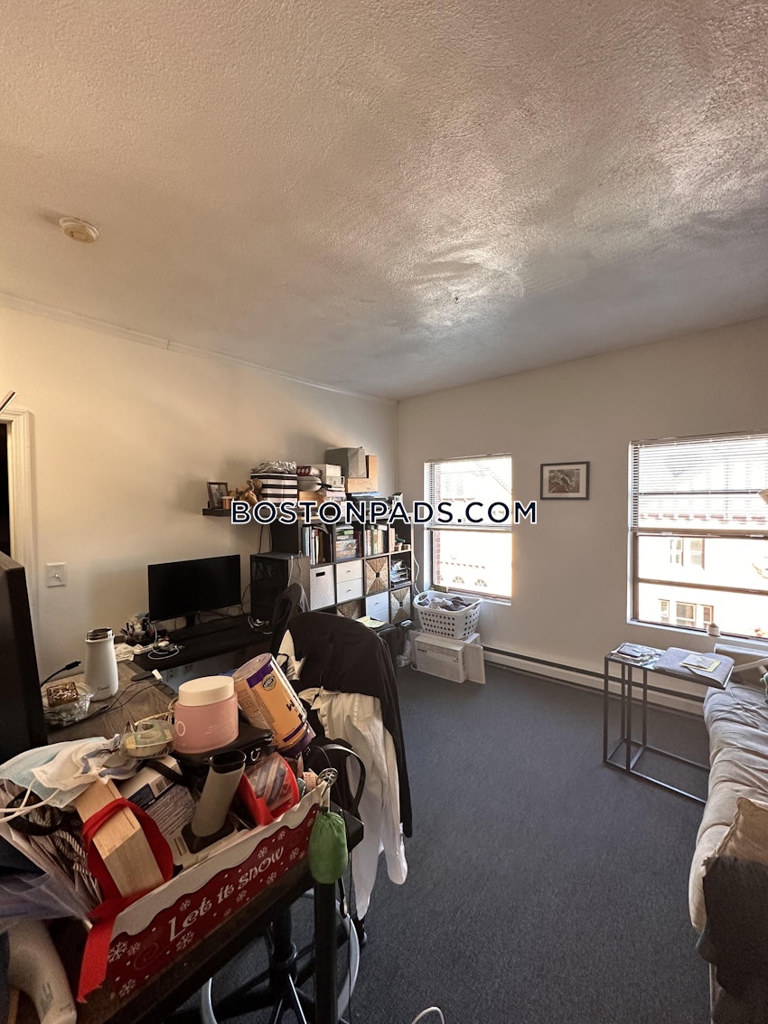 BOSTON - NORTHEASTERN/SYMPHONY - 1 Bed, 1 Bath - Image 3