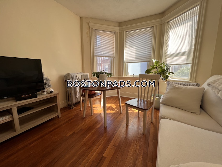 BOSTON - FENWAY/KENMORE - 1 Bed, 1 Bath - Image 3