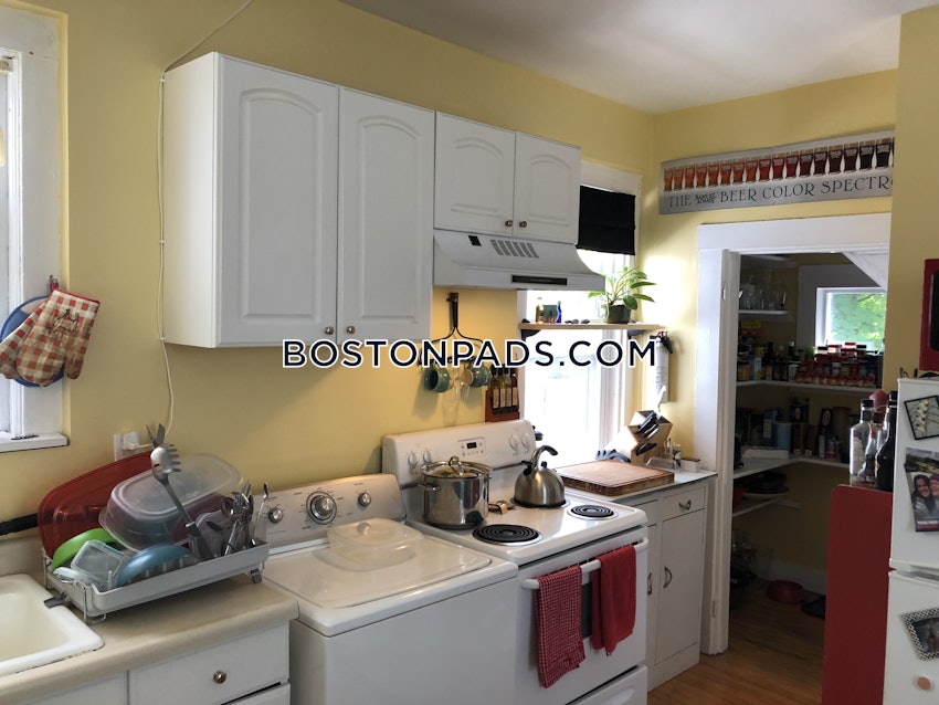 BOSTON - LOWER ALLSTON - 1 Bed, 1 Bath - Image 3