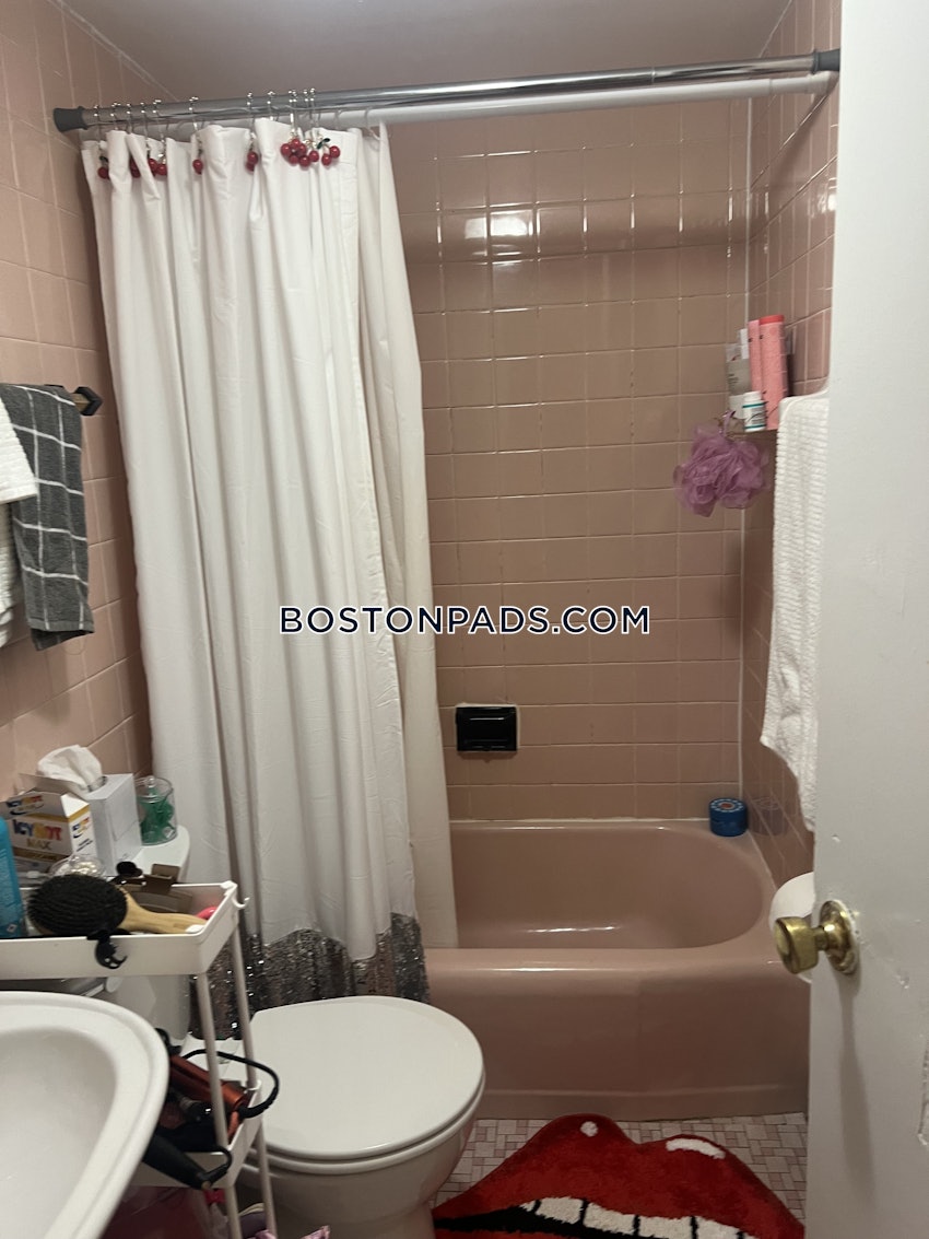 BOSTON - ALLSTON - 1 Bed, 1 Bath - Image 7