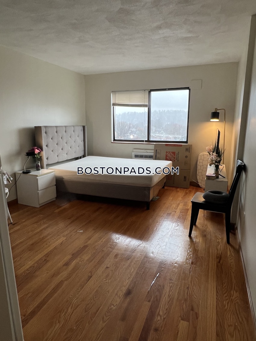 BOSTON - ALLSTON - Studio , 1 Bath - Image 1