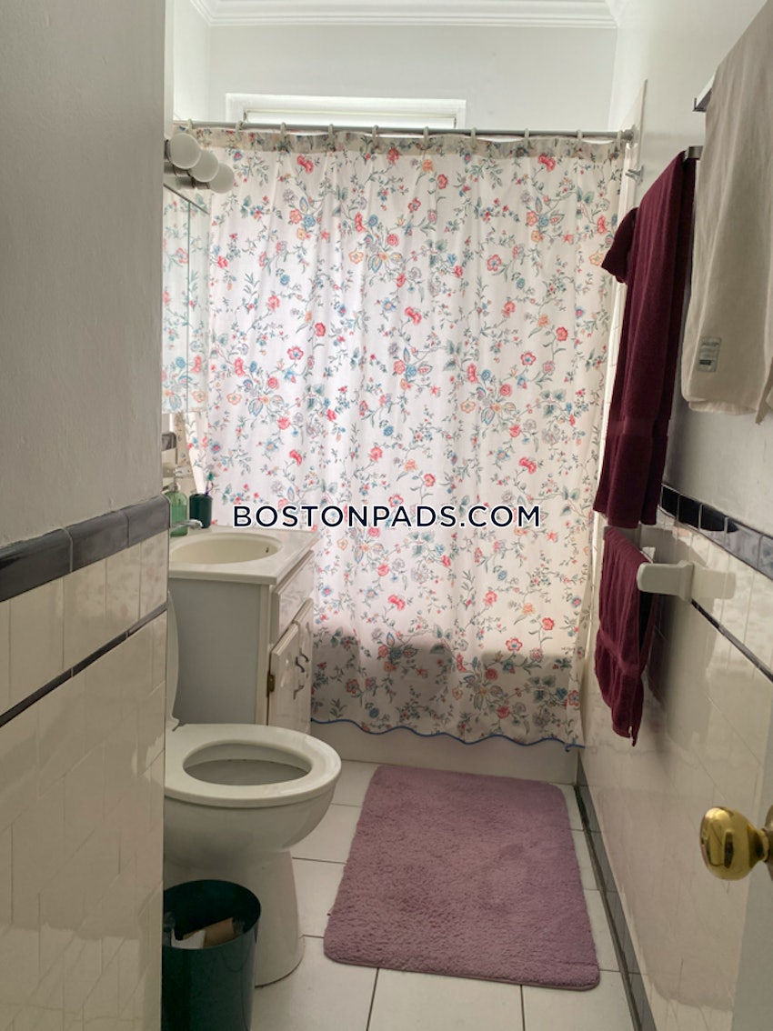 BOSTON - BRIGHTON - CLEVELAND CIRCLE - 1 Bed, 1 Bath - Image 6