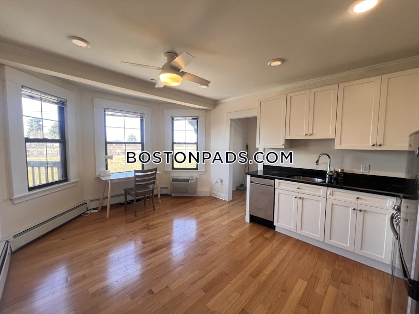 NEWTON - CHESTNUT HILL - 1 Bed, 1 Bath - Image 7