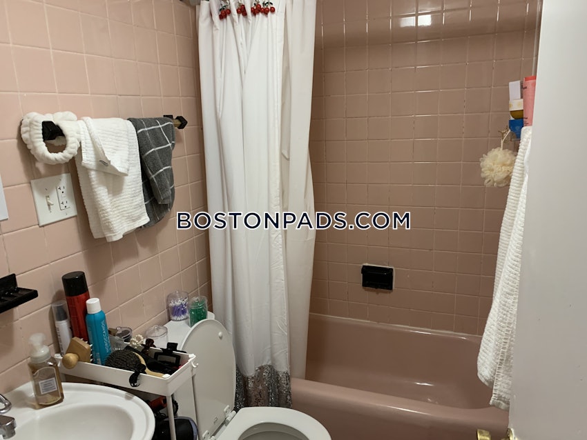BOSTON - BRIGHTON - CLEVELAND CIRCLE - 1 Bed, 1 Bath - Image 13