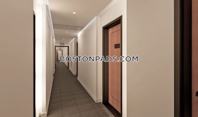 Allston/brighton Border Apartment for rent 1 Bedroom 1 Bath Boston - $3,385 No Fee