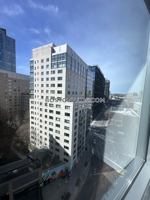 Boylston St. Boston photo 16