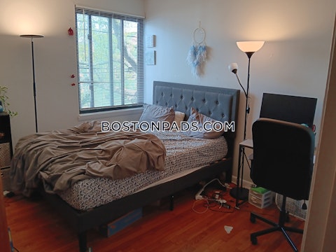 Hubbard Ave. Cambridge photo 6