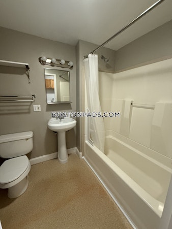 Shirley St. Winthrop