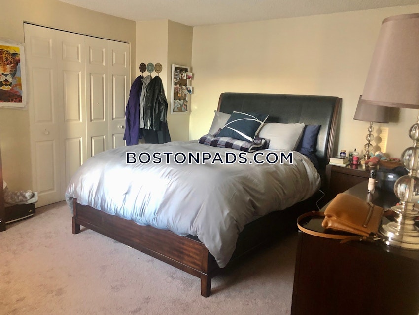 CAMBRIDGE - CENTRAL SQUARE/CAMBRIDGEPORT - 2 Beds, 1.5 Baths - Image 5