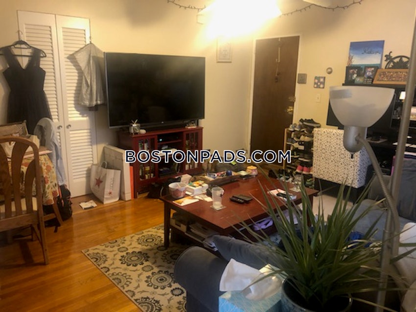 BOSTON - BRIGHTON - CLEVELAND CIRCLE - 1 Bed, 1 Bath - Image 4