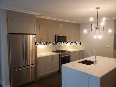 Brighton Brand NEW 2.5 Bed 2 Bath BOSTON Boston - $3,595 No Fee