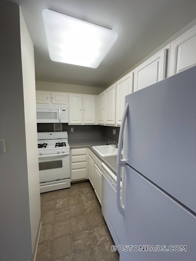 Brookline Apartment for rent 2 Bedrooms 1.5 Baths  Boston University - $4,000