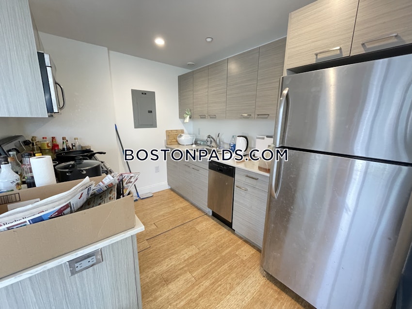 BOSTON - ALLSTON - 2 Beds, 2 Baths - Image 4