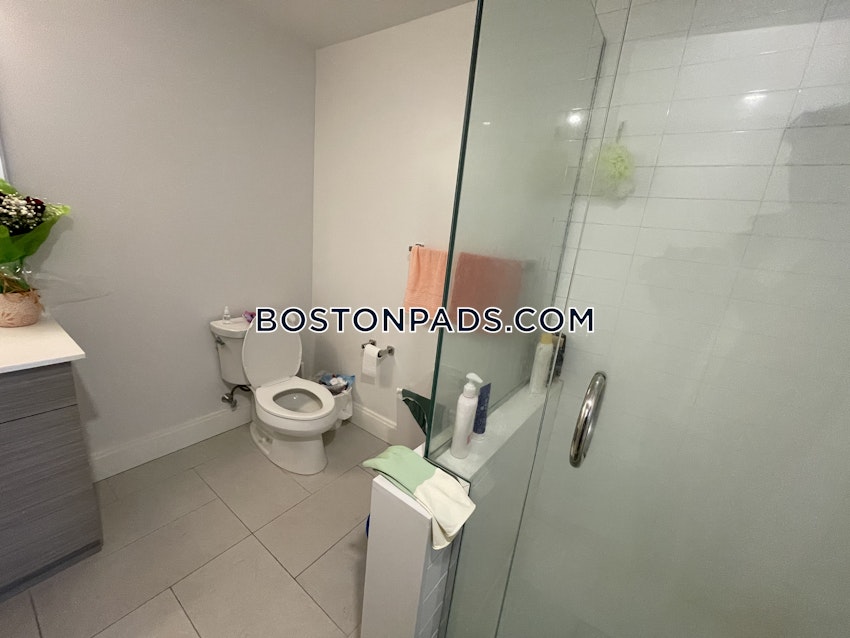 BOSTON - ALLSTON - 2 Beds, 2 Baths - Image 26