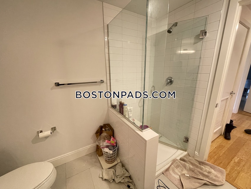 BOSTON - ALLSTON - 2 Beds, 2 Baths - Image 25