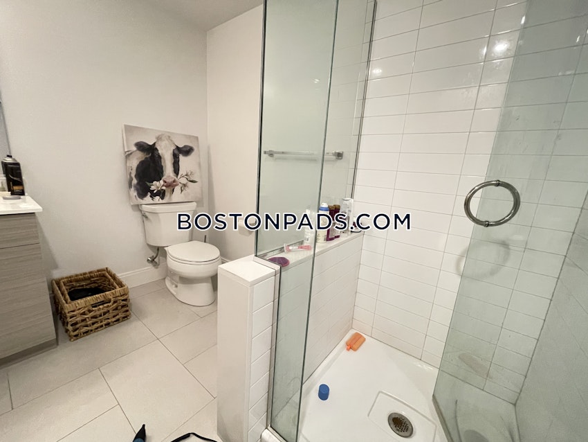 BOSTON - ALLSTON - 2 Beds, 2 Baths - Image 23