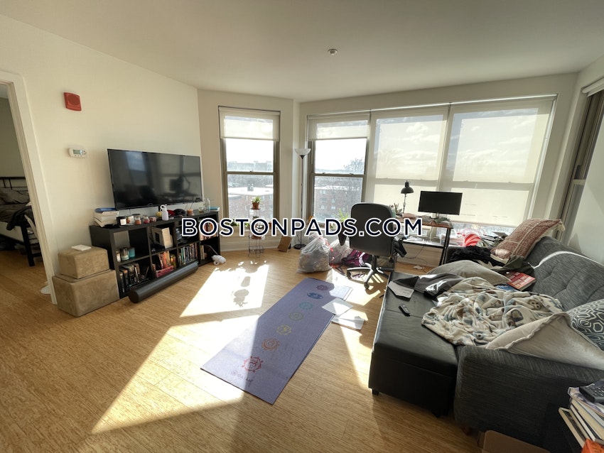 BOSTON - ALLSTON - 2 Beds, 2 Baths - Image 1