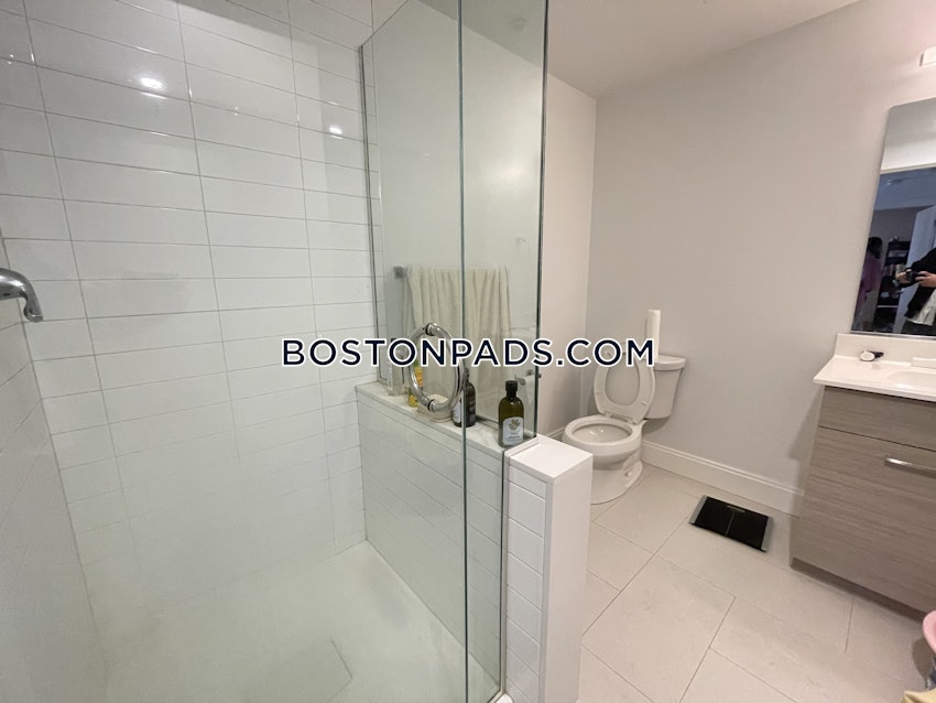 BOSTON - ALLSTON - 2 Beds, 2 Baths - Image 52