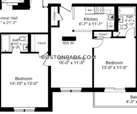 Summer Malden photo 2