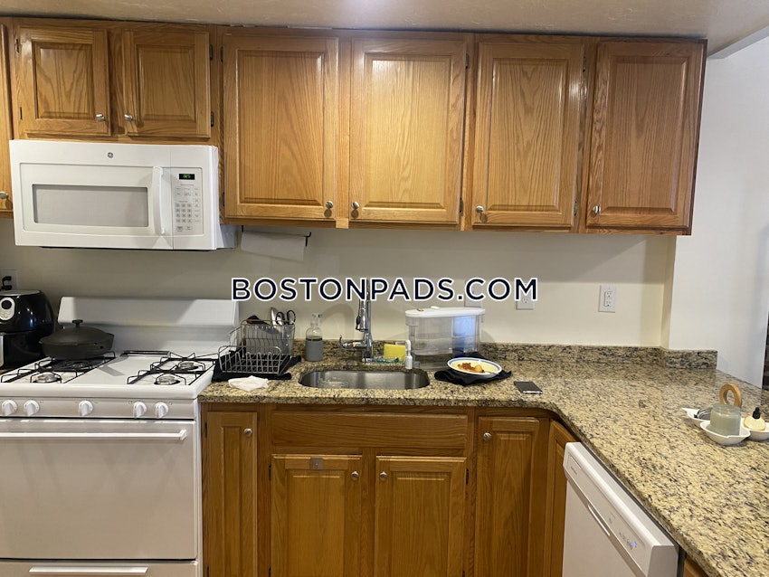 BOSTON - SOUTH BOSTON - WEST SIDE - 1 Bed, 1 Bath - Image 14