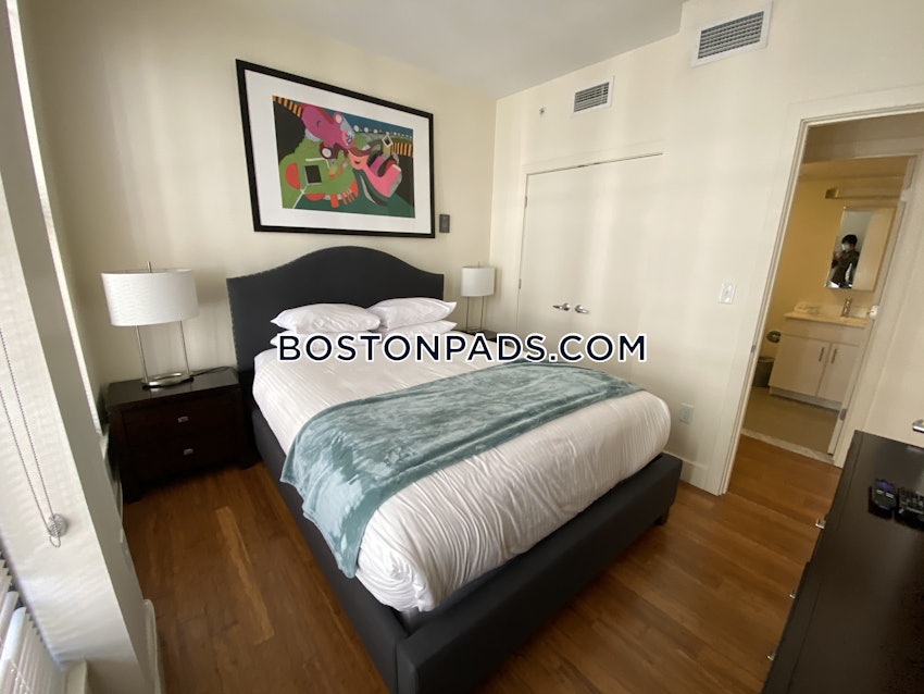BOSTON - DOWNTOWN - 1 Bed, 1 Bath - Image 14