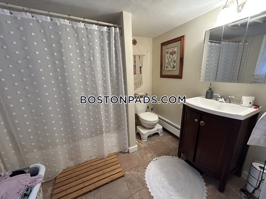 BOSTON - EAST BOSTON - BREMEN ST. PARK/AIRPORT STATION - 1 Bed, 1 Bath - Image 6