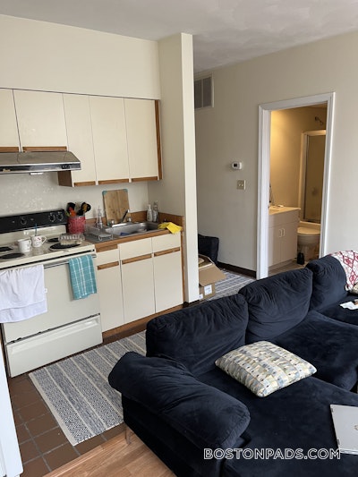 Downtown Apartment for rent 1 Bedroom 1 Bath Boston - $2,600